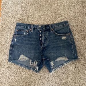 Aritzia The Ex Boyfriend Denim Short